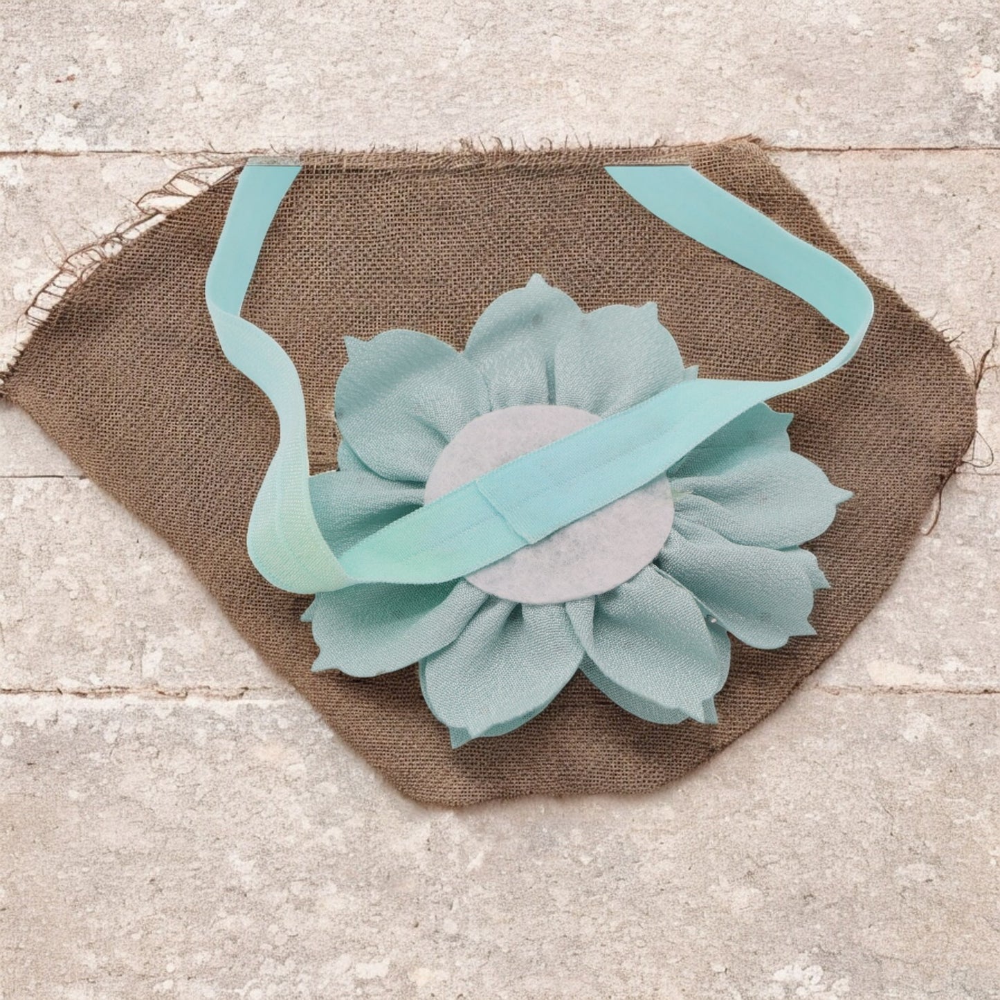 Bloom New brown Baby Hairband-Blue