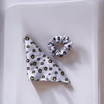 Daisey Gift Set