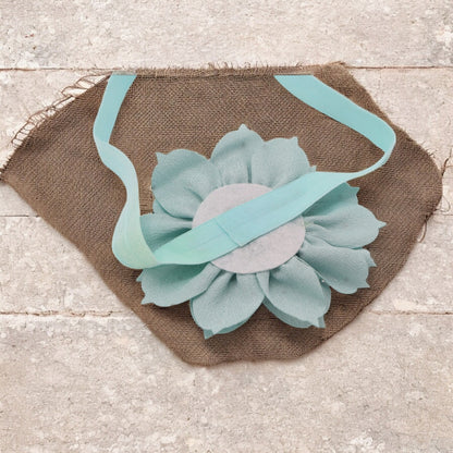 Bloom New brown Baby Hairband-Blue